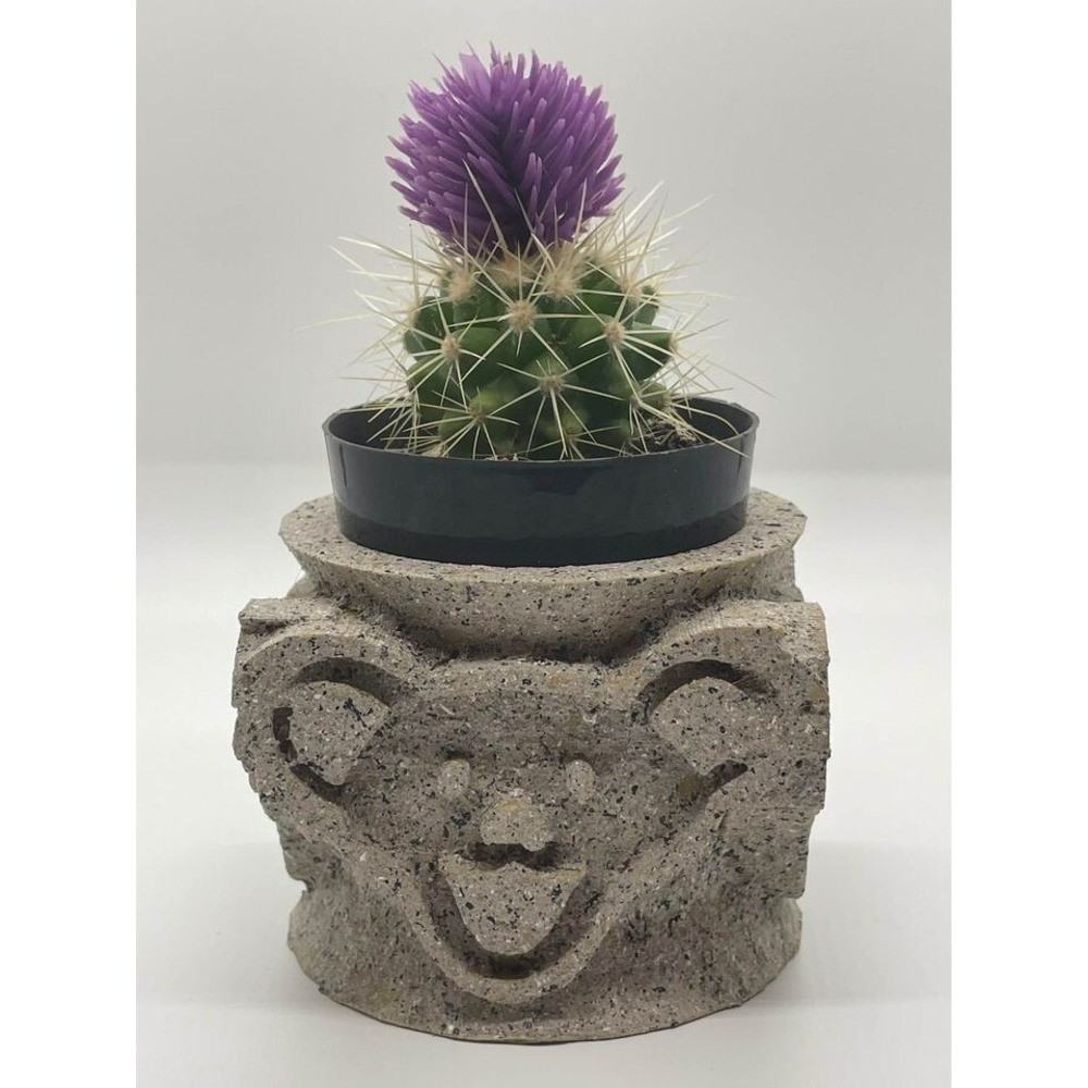 Grateful Dead Grateful Bear 3" Planter with Granite Finish